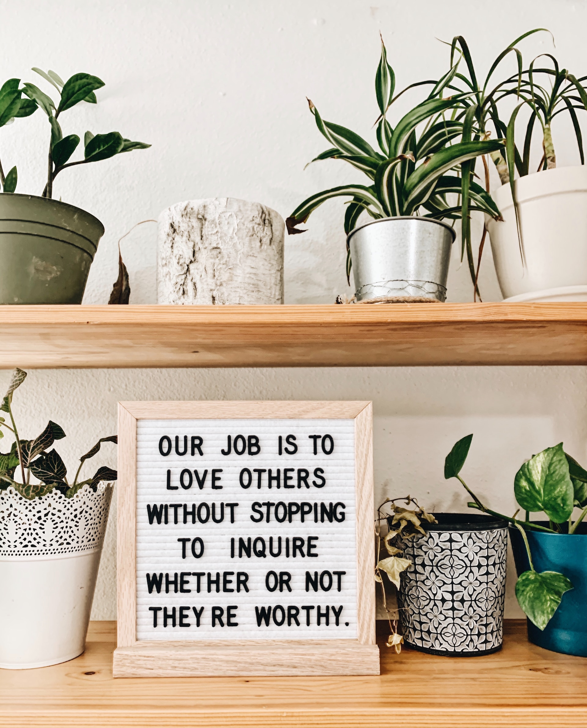 sign on shelf with plants