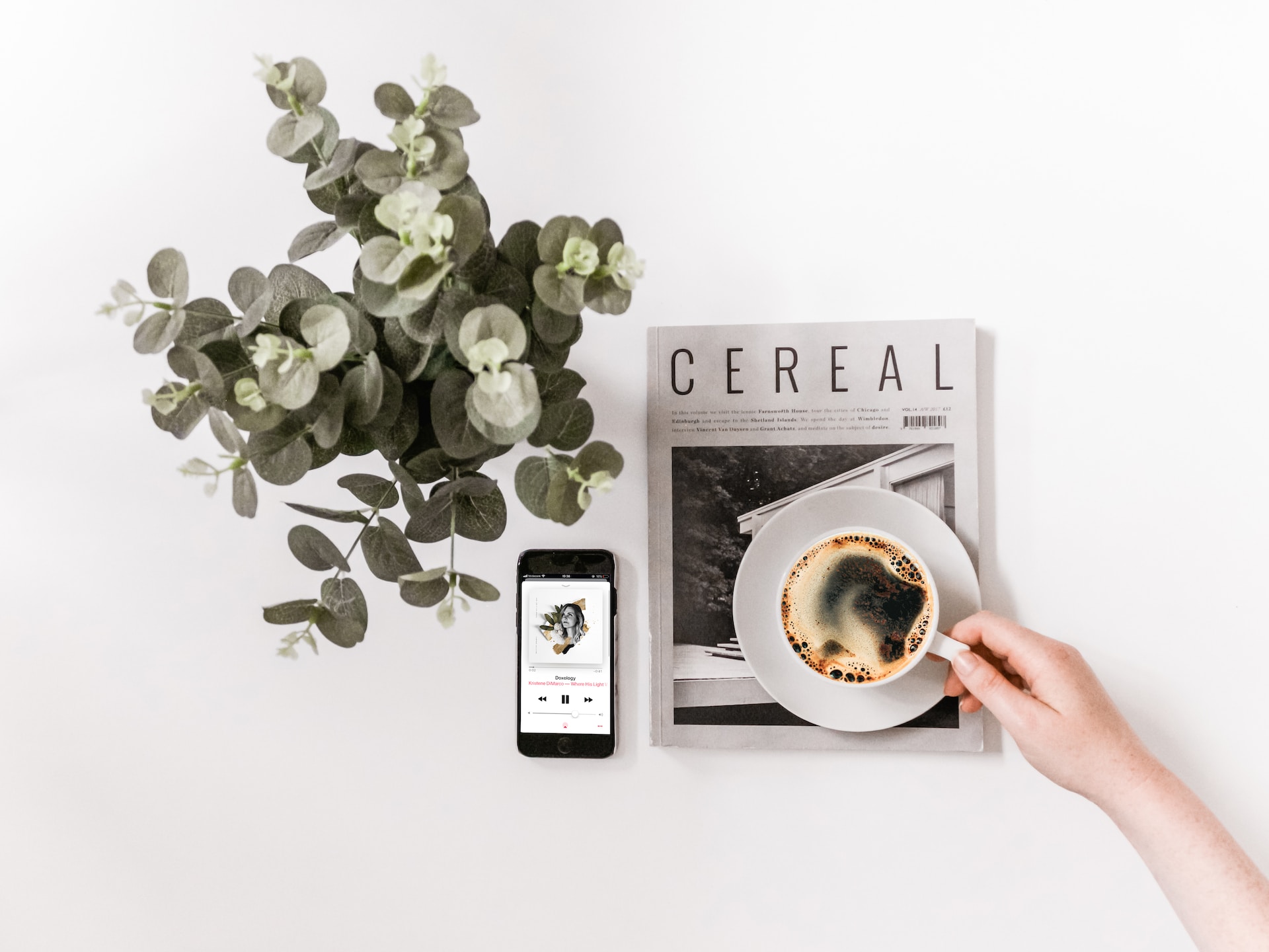 plant phone and coffee cup on top of cereal magazine