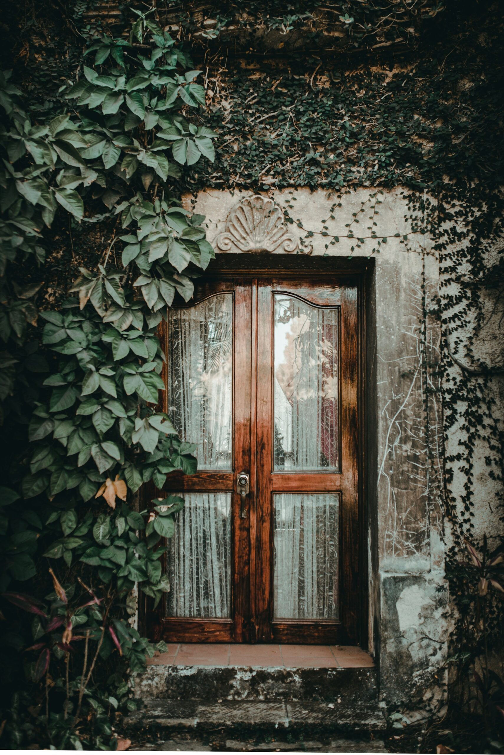 a beautiful old door with leaves and vines growing on it and lace curtains showing through the tall windows of the door.